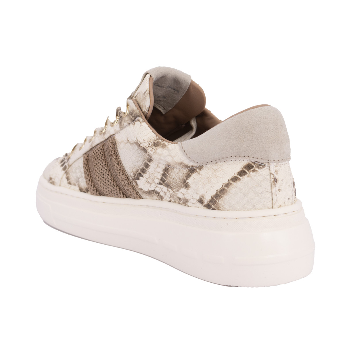 SNEAKERS STOKTON PITONATE